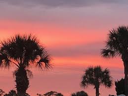 Before you hit the road, check here for information on parks in new port richey, florida that offer wifi, swimming, cabins and other amenities good sam club members save 10% at good sam rv parks Sundance Lakes Rv Resort Campground Reviews Port Richey Fl Tripadvisor
