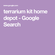 Terrarium Kit Home Depot Google Search Terrariums Kits Kit Home Home Depot
