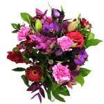 Check spelling or type a new query. Send Flowers To Australia From Ireland