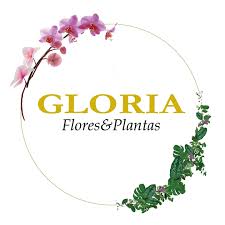 Flores y Plantas Gloria