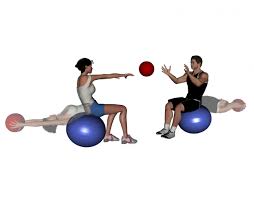 Pin By Christine Jessup On Health And Fitness Ball Exercises Medicine Ball Workout Partner Workout