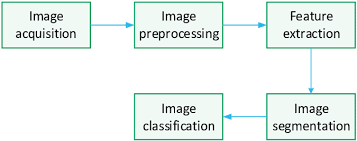 Flowchart Of Plant Identification In Computer Vision