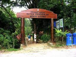 Bukit gasing, also known as hutan pendidikan bukit gasing, is set between kuala lumpur and petaling jaya. Friends Of Bukit Gasing Fobg Posts Facebook