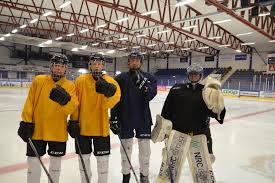 You can watch at home on your pc or on your. Idrottsklubb Gar Mot Strommen Startar Ungdomslag I Ishockey Dalabygden