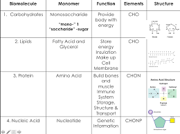 Worksheets Biomolecules Worksheet Waytoohuman Free