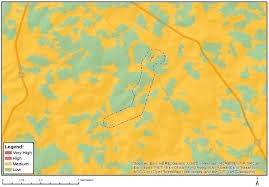 Image result for Linderniella wilmsii