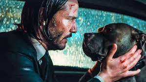 The Dogs In John Wick Chapter 3 Had A Special Working Relationship With Star Halle Berry In 2020 Keanu Reeves John Wick John Wick Keanu Reeves
