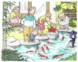 Koi Food Guide Maximize Color And Growth