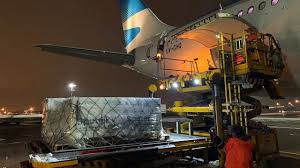 Esta noche llegará el segundo de los dos vuelos de aerolíneas argentinas con otras 700.000 dosis de la vacuna sputnik v. Sputnik V Regresa El Vuelo De Aerolineas Que Trae La Segunda Tanda De Vacunas Perfil