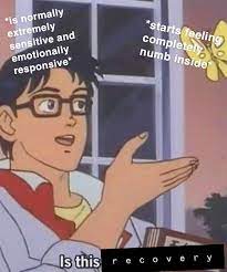 Memes Are How I Cope