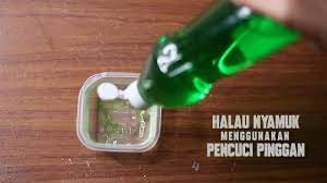 Cara mengendalikan hama lalat buah pada cabai besar dan rawit. Halau Nyamuk Guna Pencuci Pinggan Youtube