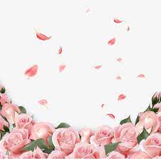 Rose Leaf Background Decoration Pink Flowers Petal Botany Delaying Senility Background Dec Pink Flowers Background Flower Backgrounds Spring Flowers Background