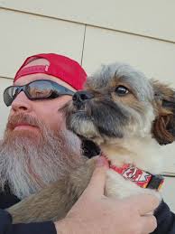 Roses Are Red and Ducks Quack