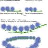 Free tutorial on how to make flower headbands is demonstrated in pictures for girls. 1