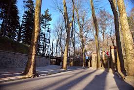 Check spelling or type a new query. Murat Aydin On Twitter Ve Gunun Sonunda Istanbul Bogazi Nin En Guzel Sahilinde Essiz Manzara Huzur Ve Maviligin Kiyisinda Modern Ve Ferah Mimarisiyle Goz Dolduran Gumussuyu Cafe Ve Restoran Sizi Bekliyor Olacak