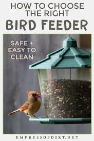 Bird Feeder For Large Birds Pin On Birds Wildlife