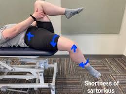 Image result for Modified Apt Test