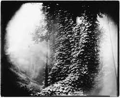 Mother Land Missed Longing For Sally Mann S Landscapes News Sally Mann Sally Mann Photography Featured Artist