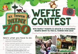 A wide range of exotic animals can be found here, ranging from massive python, cheeky squirrel monkeys to the cuddly rabbits. Kl Tower Mini Zoo Wefie Contest