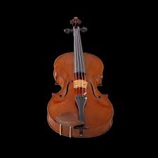نتیجه جستجوی لغت [viola] در گوگل