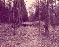 Cotton Gin Port abandoned port