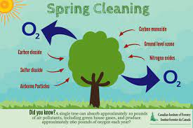 June 21st is the official first day of summer and people are over the moon with the fact they can start digging out their swimsuits and hit the beach. Cif Ifc On Twitter Happy First Day Of Summer Thanks For All The Spring Cleaning Trees Climatechange Green Sustainability
