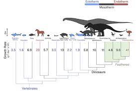 Jul 17, 2019 · is a whale warm blooded? Were Dinosaurs Warm Blooded Or Cold Blooded Yes Say Scientists Csmonitor Com