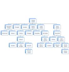 journey jiu jitsu flow diagrams are legit