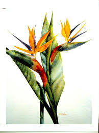 Bird Of Paradise Plant For Sale Uk Watercolor Bird Of Paradise Tropical Ocean Garden By Ksartstudio 20 00 Paradise Painting Paradise Flowers Birds Of Paradise