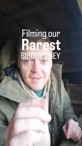 Long tailed meadowlark in afternoon perching #meadowlark #bird #feather  #nature #wildlife HA25030