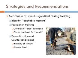 Use gentle pressure to soothe the pet, using a warm towel or compression garment. Dog Ibox Stress Matters Impact Of Fear And Anxiety On Learning Fear Aggression In Dogs Webinars In English