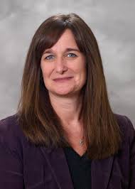 Patient care trumps 'snow day' for Central Illinois medical professionals