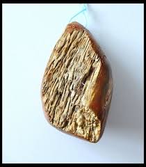 Natural Petrified Palm Wood Gemstone Pendant Bead N022 Gemstone Pendant Gemstone Jewellery Design Gemstones
