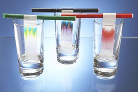 Separate The Colors From Leaves Using Chromatography Science Experiments Paper Chromatography Experiments