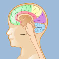 Morning headaches or headaches that are less painful after vomiting Atypical Teratoid Rhabdoid Tumor At Rt Weill Cornell Brain And Spine Center