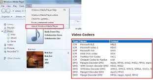 Now, this video app is available for pc windows vista / windows 7 / windows 8 / windows 10. Everything You Need To Know About Media Player Codec Pack