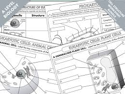 We did not find results for: A Level Biology Cell Structure Worksheet Bundle Teaching Resources