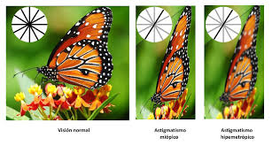 Maybe you would like to learn more about one of these? Tipos De Astigmatismo Miopico Hipermetropico Y Mixto Optometristas Org