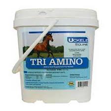 Although, in quantities that the horse just doesn't need, processing water soluble vitamins can cause excessive strain of filtering organs, such as the kidneys and liver. Vitamins Minerals Horse Supplements Horse Supplies