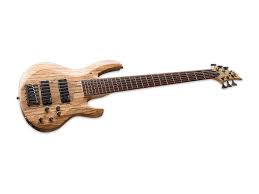 Amazon.com: ESP LTD B-206SM Spalted Maple 6-String Bass Guitar, See Thru  Black Satin : Musical Instruments