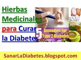 Hasta ahora la ciencia no ha descubierto un medicamento que permita curar por completo la diabetes. á… Hierbas Y Plantas Medicinales Para La Diabetes 2 Diabeticos 2019 Con Imagenes Curar Hierba Medicinal Diabetes