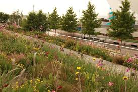 Sarah Price Landscapes Olympic Gardens Southern Hemisphere Olympic Garden Park Landscape Landscape