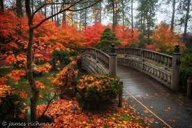 James Richman Photography Beautiful Bridge Crossing Fall In The Japanese Gardens At Manito Nature Landscape Photography Japanese Garden Japan Garden