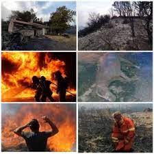 Jul 01, 2021 · oggi, su un totale di 18 incendi in sardegna, 4 incendi hanno richiesto l'intervento del mezzo aereo del corpo forestale. 77p Vfnazlkodm