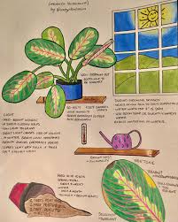 Check spelling or type a new query. Pin On Plant Journal