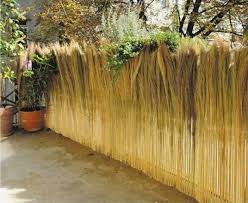 17 Magnifiques Idees De Brise Vue Brise Vue Jardin Haies Brise Vue Brise Vue Decoratif