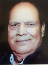 CHINAR SHADE : January 2023