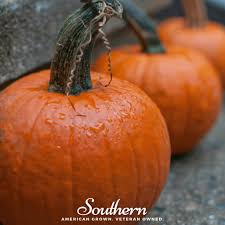 Image result for Cucurbita