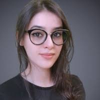 Christophe Bureau Email & Phone Number