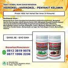 Maybe you would like to learn more about one of these? Storymapjs Nama Obat Alami Buah Zakar Bengkak Sakit Sebelah Di Apotik Kimia Farma